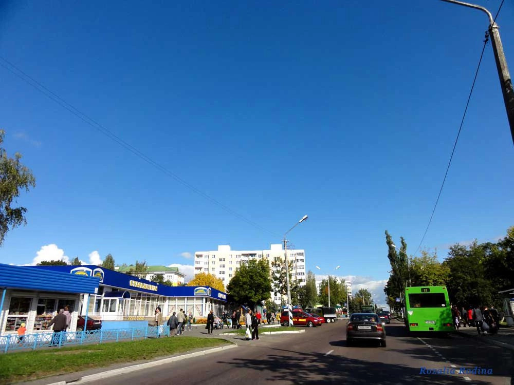 Мозырь