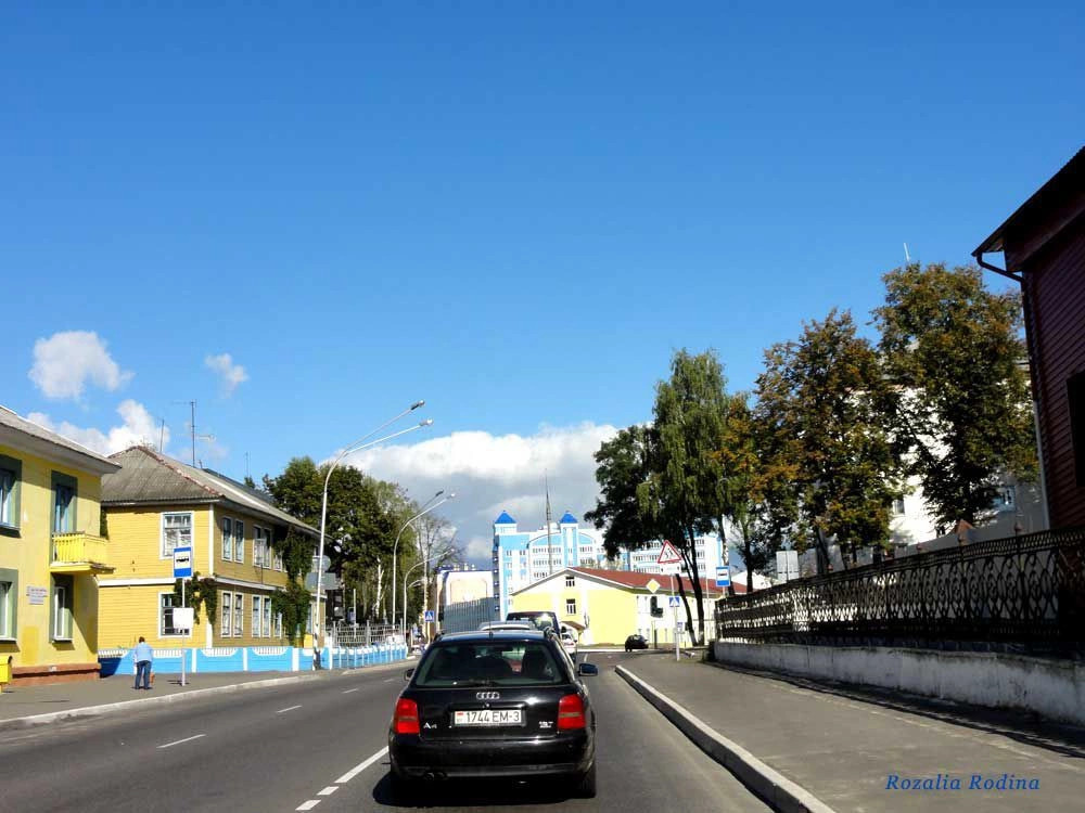 Мозырь