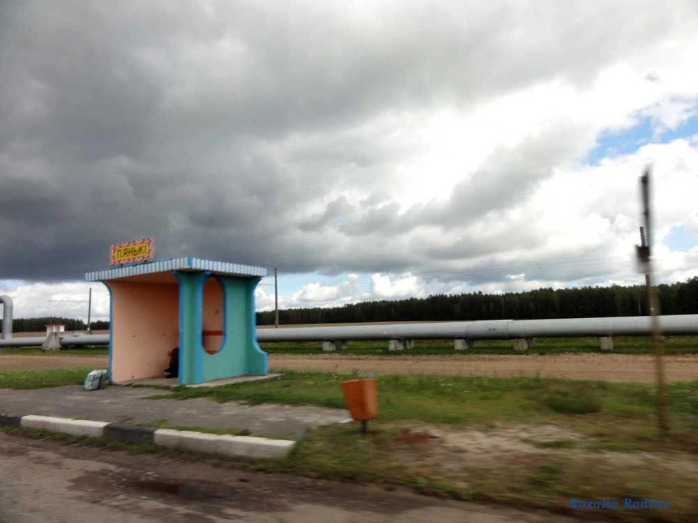 Пеньки