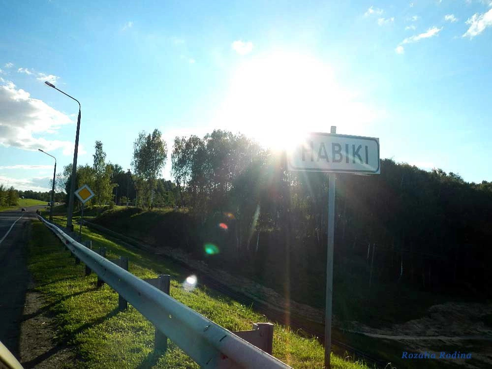 Новики (Мозырский р-н)
