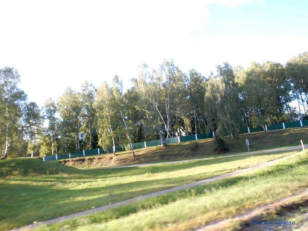 Новики (Мозырский р-н)