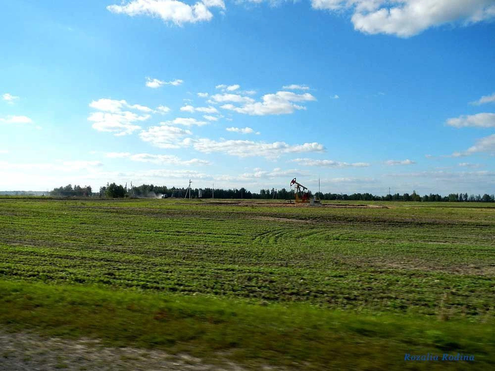 Красная Дуброва