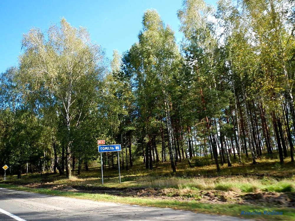 Макановичи