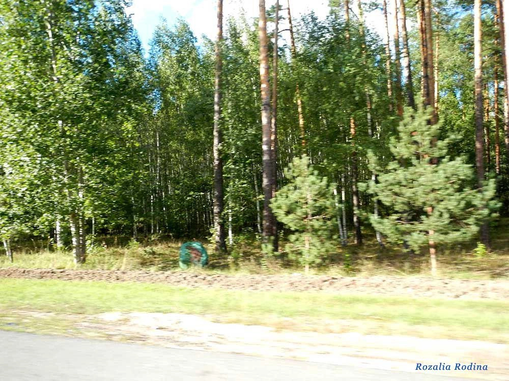 Полесье (Речицкий р-н)