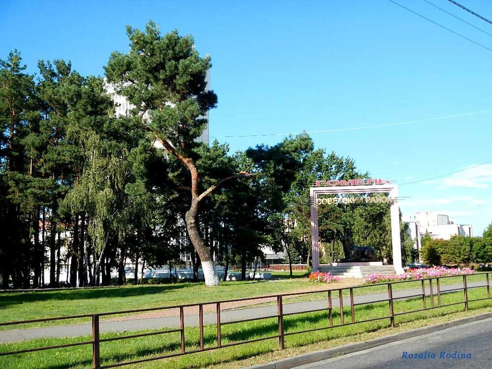 Гомель