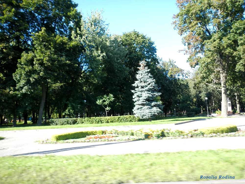 Гомель