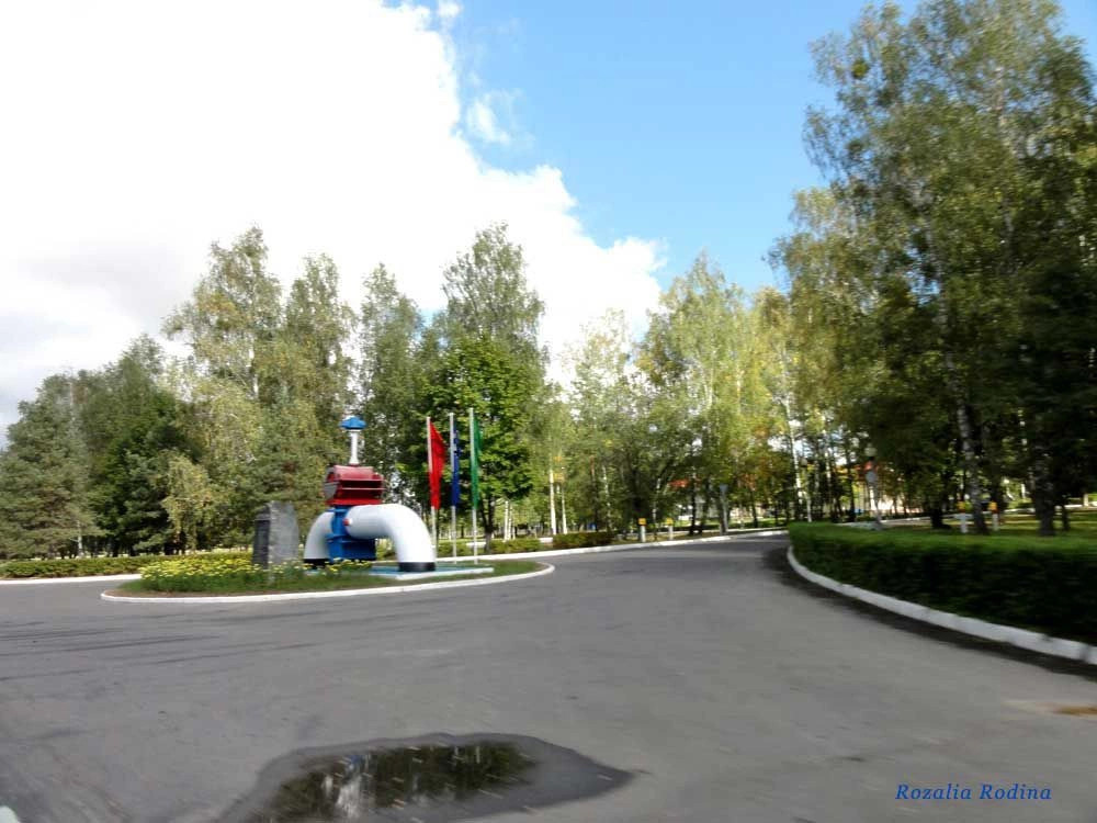 Дружба (Мозырский р-н)