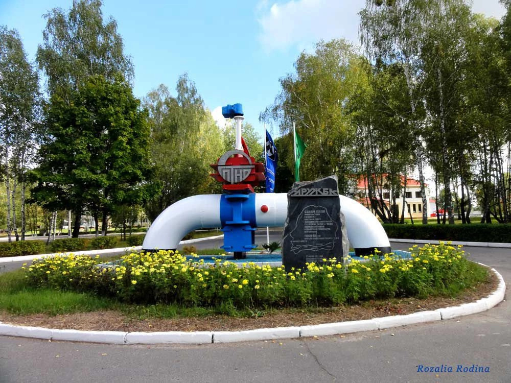 Дружба (Мозырский р-н)