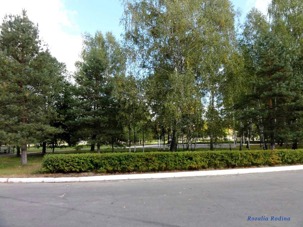 Дружба (Мозырский р-н)