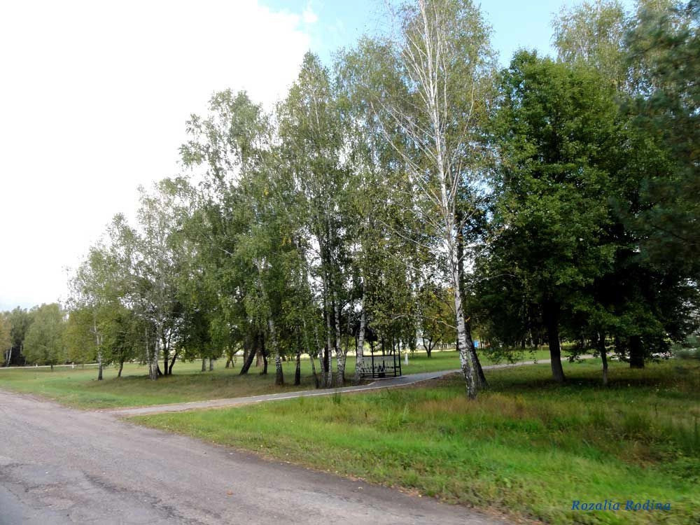 Дружба (Мозырский р-н)