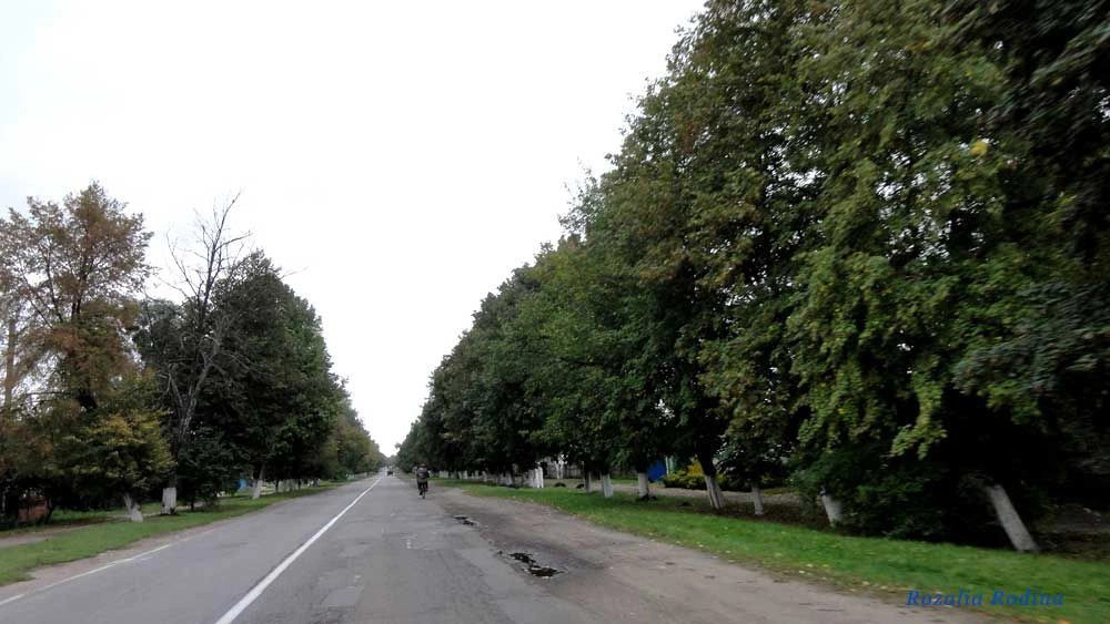 Володарка