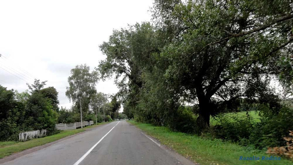 Гайворон (Володарский р-н)