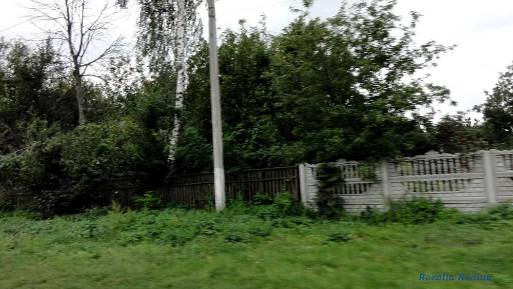 Гайворон (Володарский р-н)