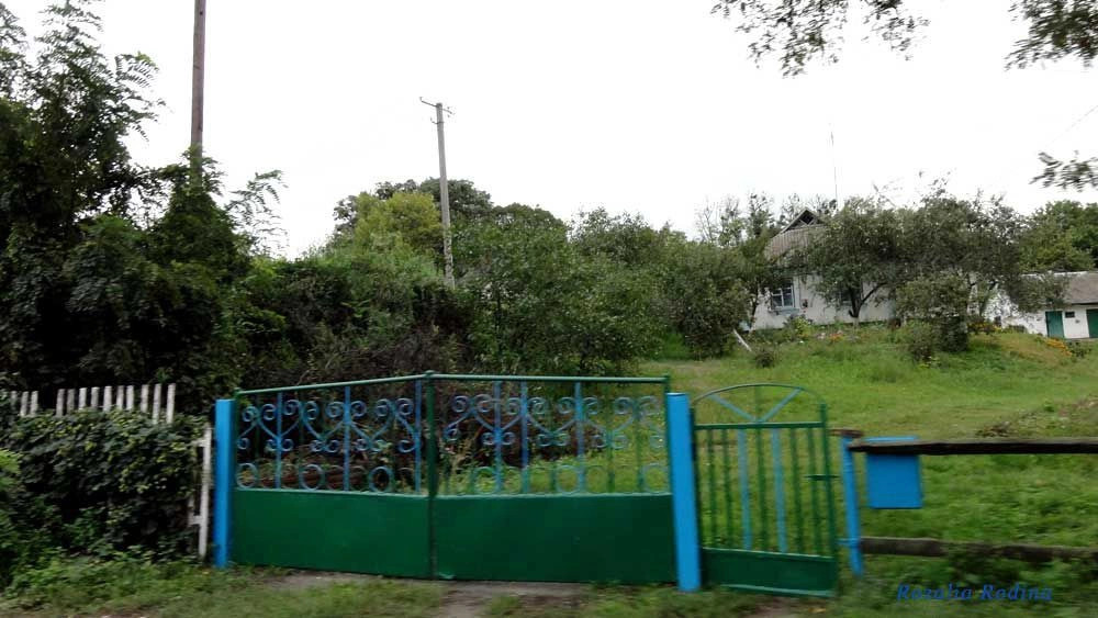 Гайворон (Володарский р-н)