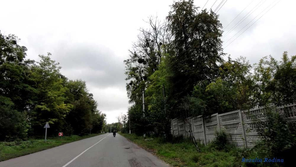 Гайворон (Володарский р-н)