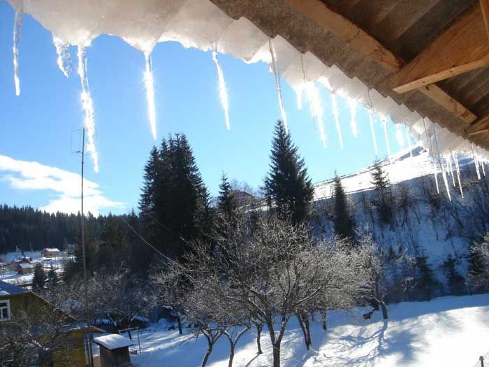 Карпаты (экскурс)