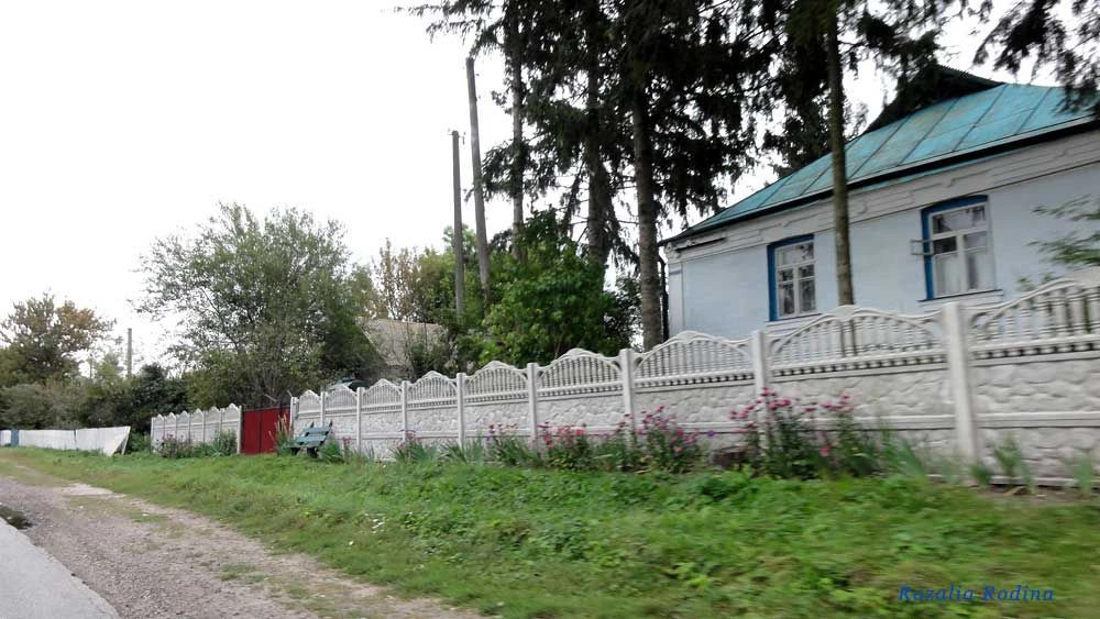 Антонов (Сквирский р-н)