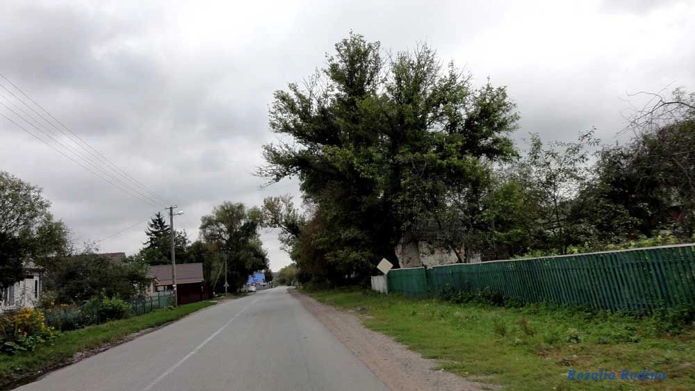 Антонов (Сквирский р-н)