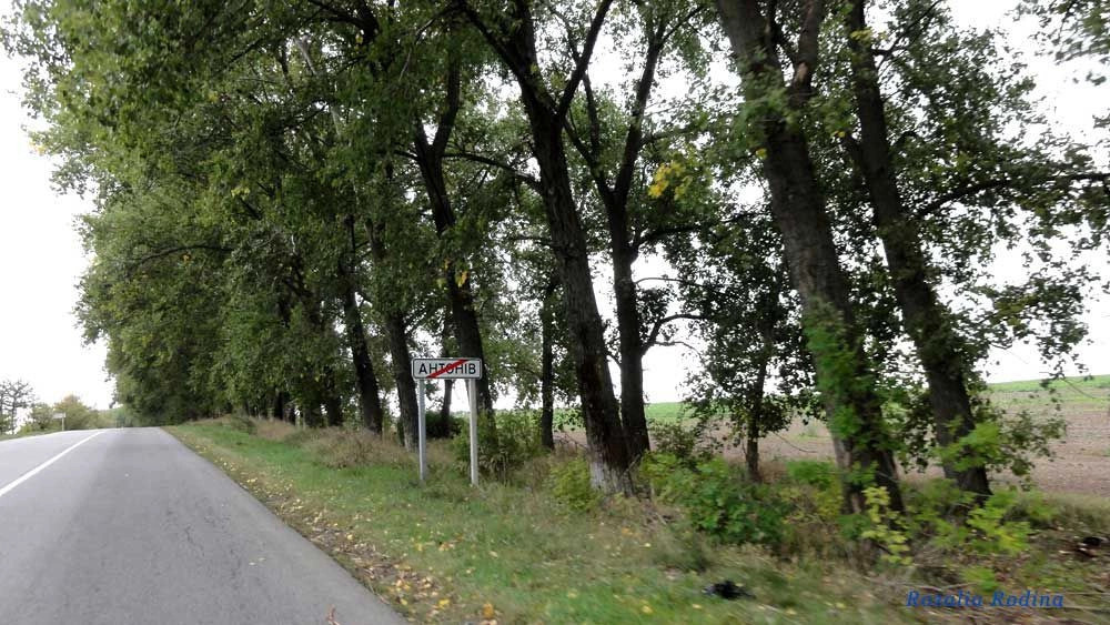 Антонов (Сквирский р-н)