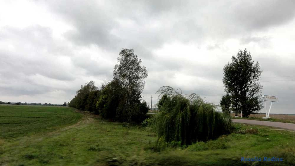 Василиха