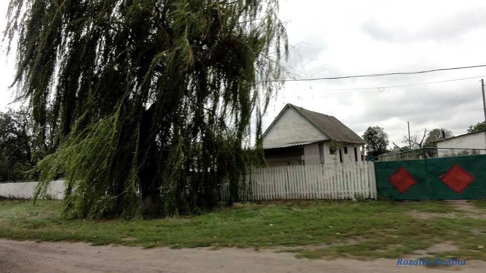 Кривец (Ставищенский р-н)