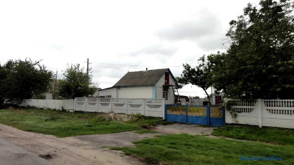 Кривец (Ставищенский р-н)