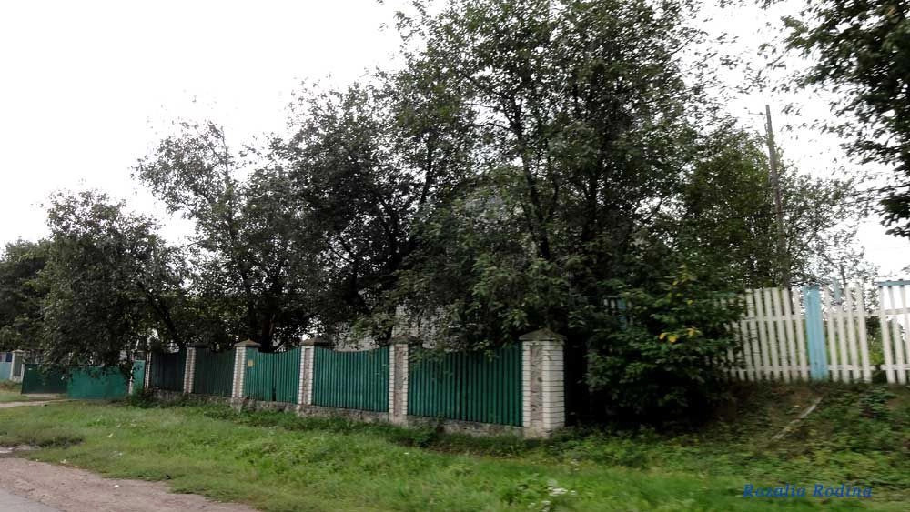 Кривец (Ставищенский р-н)