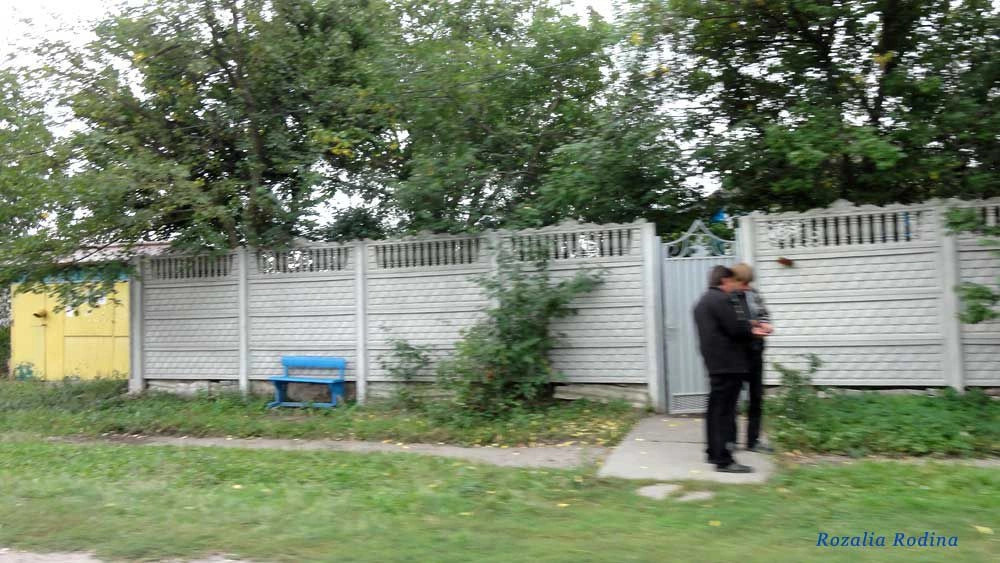 Кривец (Ставищенский р-н)