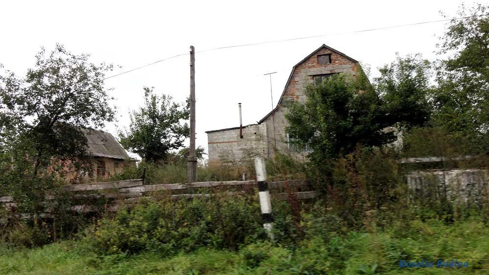 Кривец (Ставищенский р-н)