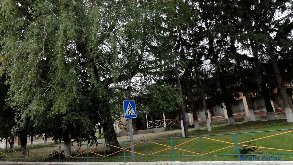 Кривец (Ставищенский р-н)