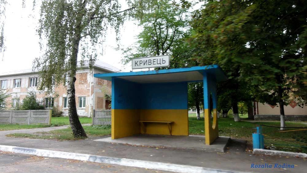 Ставищенский район