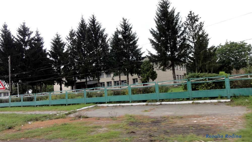 Кривец (Ставищенский р-н)