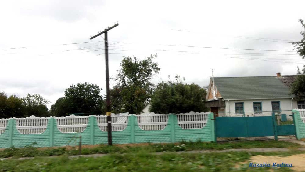 Кривец (Ставищенский р-н)