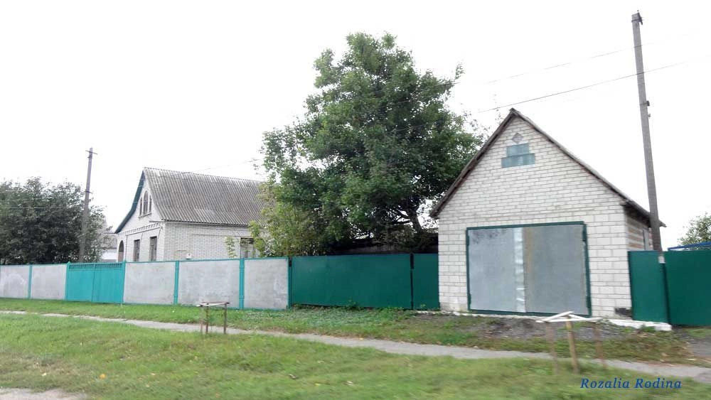 Кривец (Ставищенский р-н)