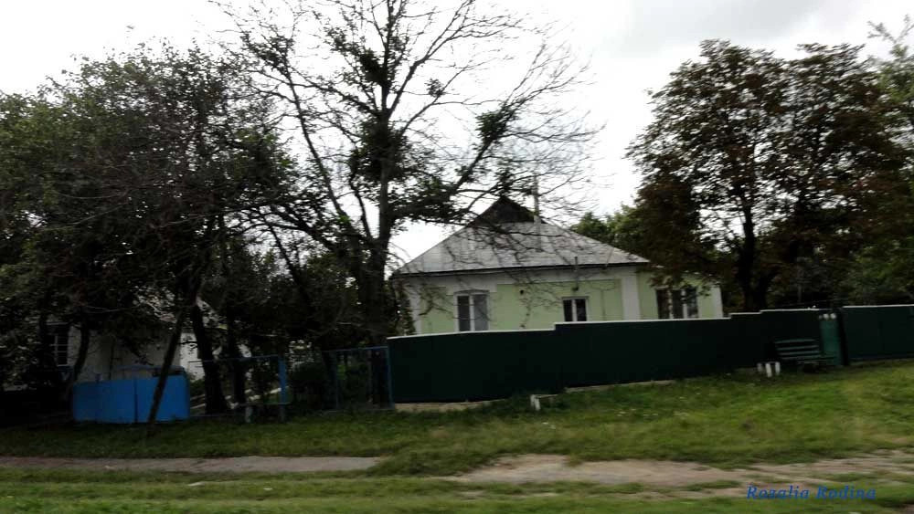 Кривец (Ставищенский р-н)