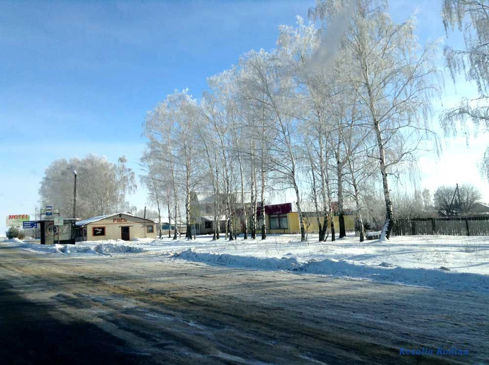 Брянская обл.