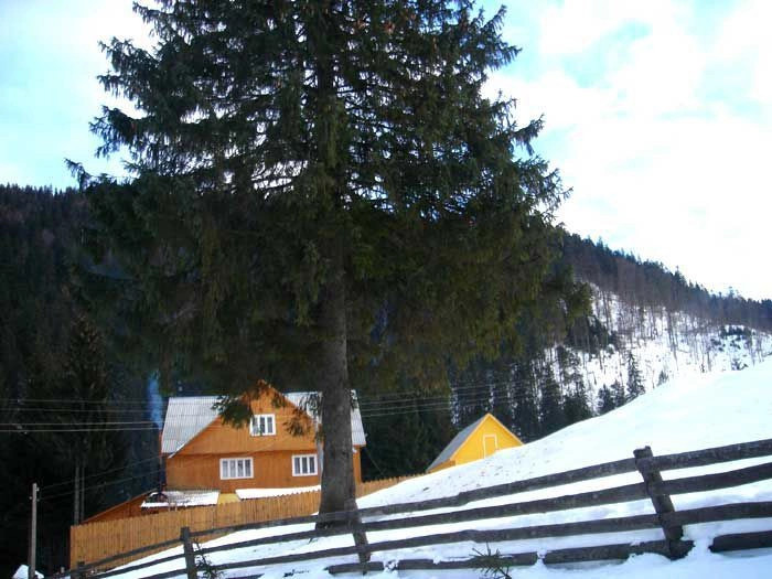 Карпаты (экскурс)