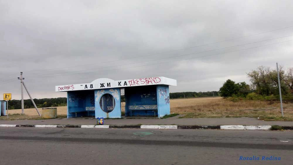 Ладыжинка