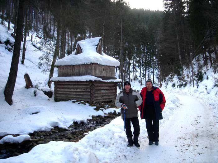 Карпаты (экскурс)
