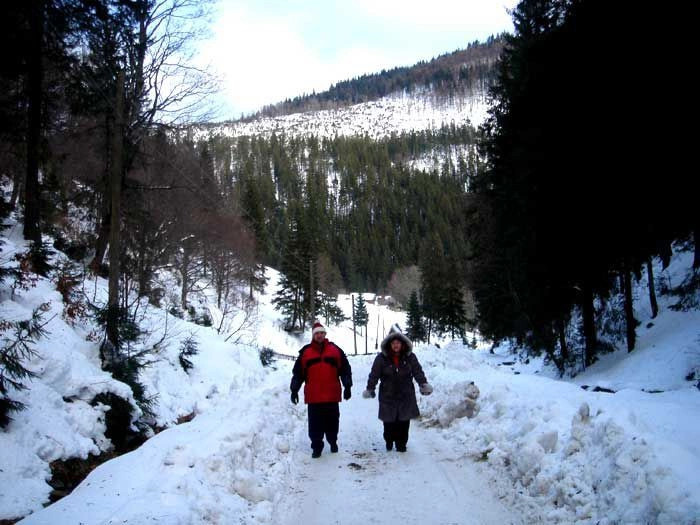 Карпаты (экскурс)