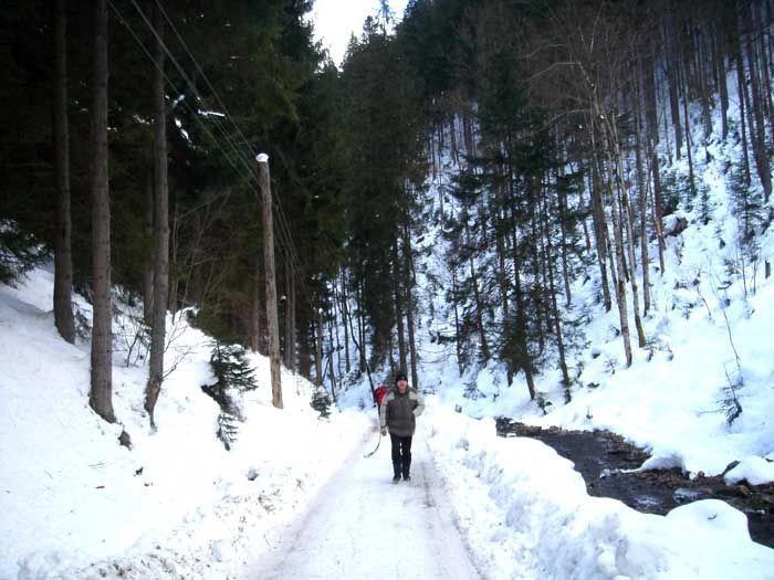 Карпаты (экскурс)