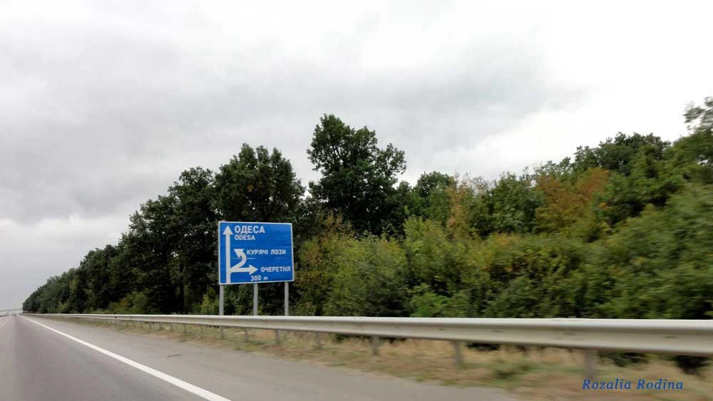 Курячьи Лозы