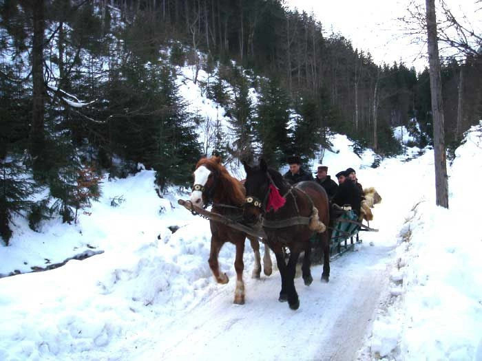 Карпаты (экскурс)
