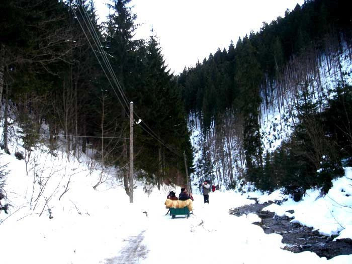 Карпаты (экскурс)
