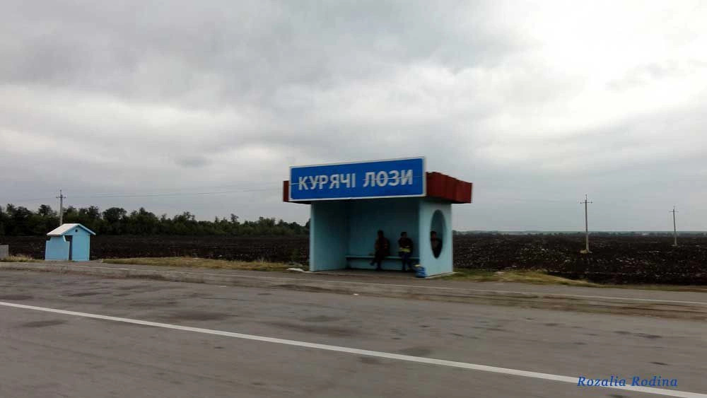 Очеретня (Кривоозерский р-н)