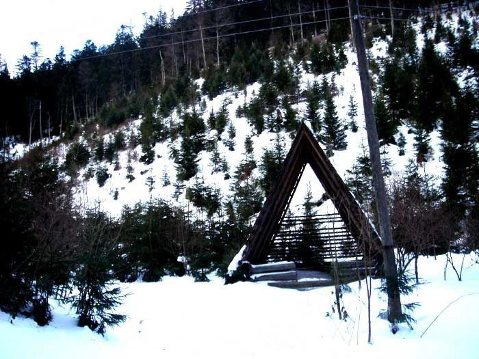 Карпаты (экскурс)