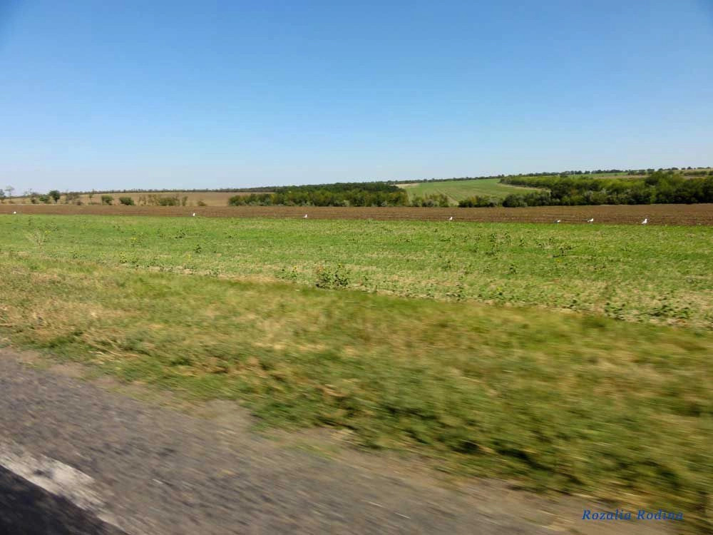Карналиевка