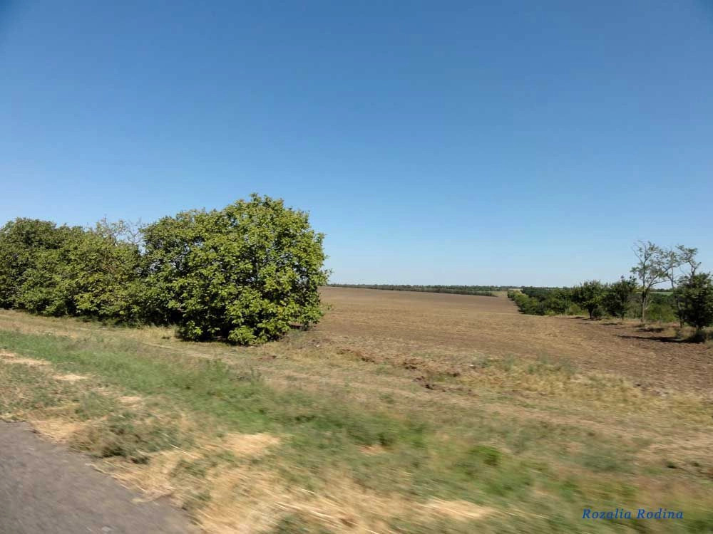 Карналиевка