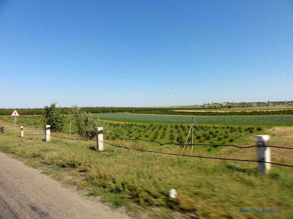 Красная Коса