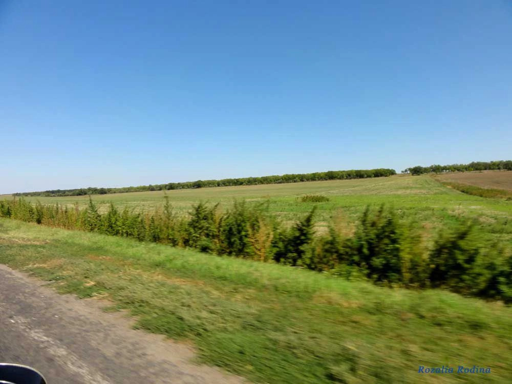 Монаши